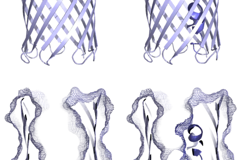 nanopores
